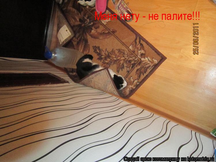 Котоматрица: Меня нету - не палите!!!