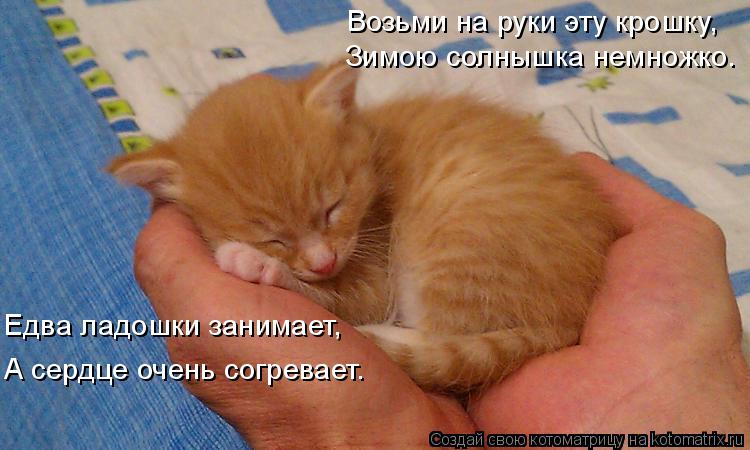 Котоматрица: Зимою солнышка немножко. Едва ладошки занимает, А сердце очень согревает. Возьми на руки эту крошку,