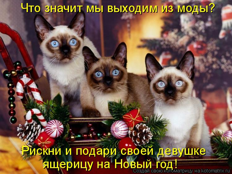 Котоматрица: Что значит мы выходим из моды? Рискни и подари своей девушке ящерицу на Новый год!