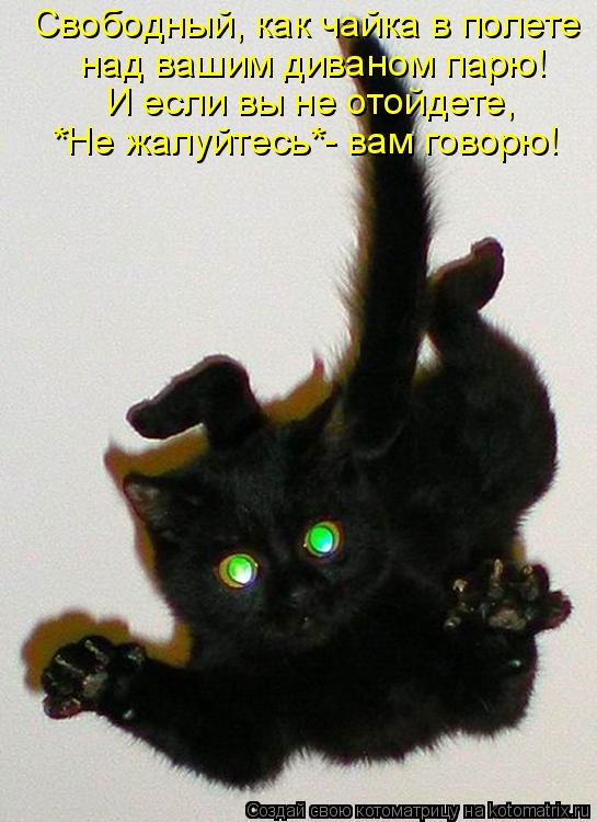 Котоматрица: Свободный, как чайка в полете над вашим диваном парю! И если вы не отойдете, *Не жалуйтесь*- вам говорю!