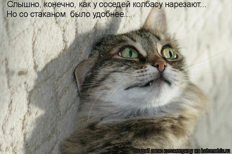 Котоматрица: Слышно, конечно, как у соседей колбасу нарезают... Но со стаканом  было удобнее...