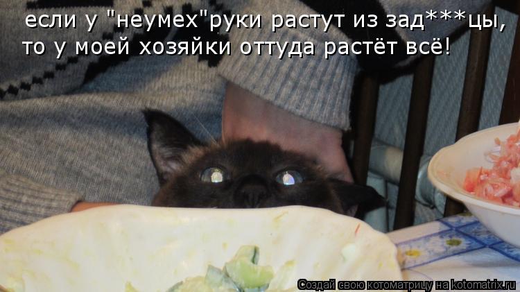 Котоматрица: если у "неумех"руки растут из зад***цы, то у моей хозяйки оттуда растёт всё!