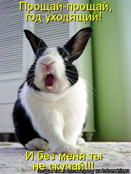Котоматрица: Прощай-прощай, год уходящий! И без меня ты  не скучай!!!