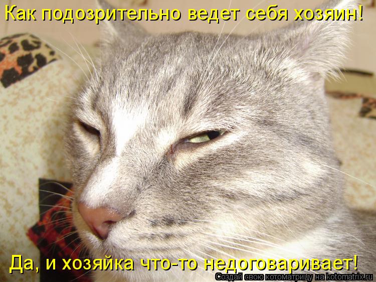 Котоматрица: Как подозрительно ведет себя хозяин! Да, и хозяйка что-то недоговаривает!