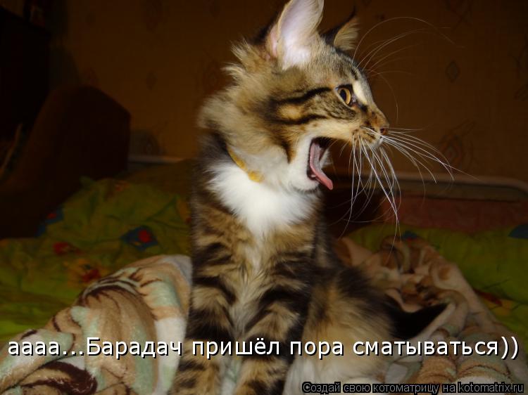 Котоматрица: аааа...Барадач пришёл пора сматываться))