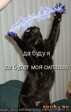 Котоматрица: да буду я да будет моя силаааа