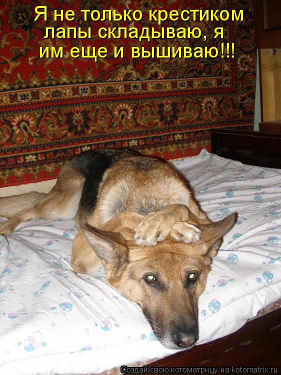 Котоматрица: Я не только крестиком  лапы складываю, я им еще и вышиваю!!!