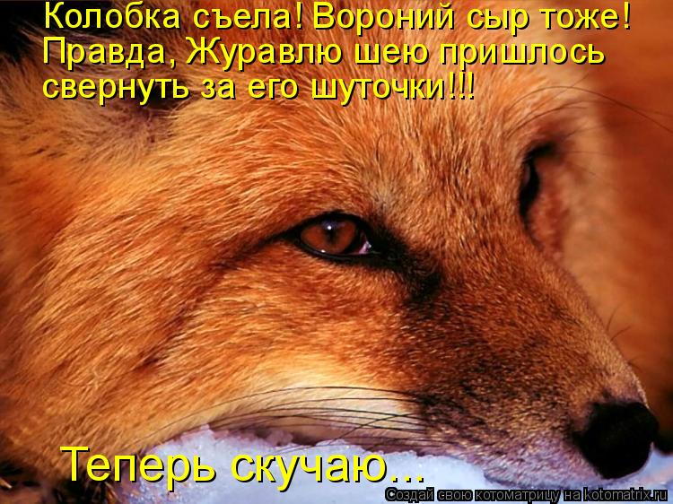 Котоматрица: Колобка съела! Вороний сыр тоже! Теперь скучаю... Правда, Журавлю шею пришлось  свернуть за его шуточки!!!