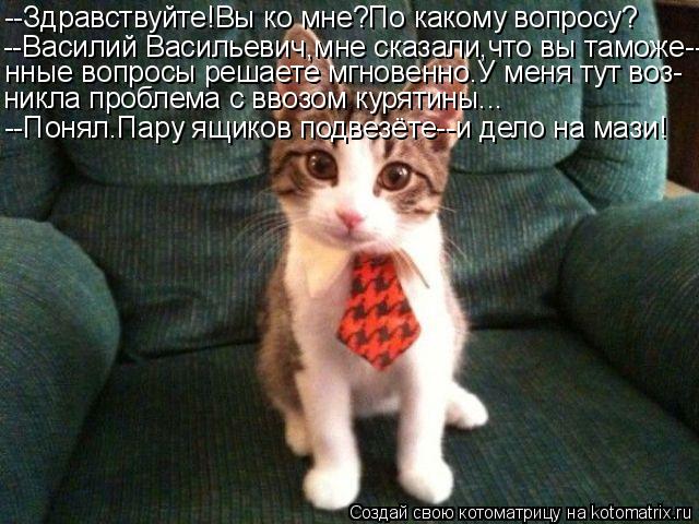 Котоматрица: --Здравствуйте!Вы ко мне?По какому вопросу? --Василий Васильевич,мне сказали,что вы таможе-- нные вопросы решаете мгновенно.У меня тут воз- ни