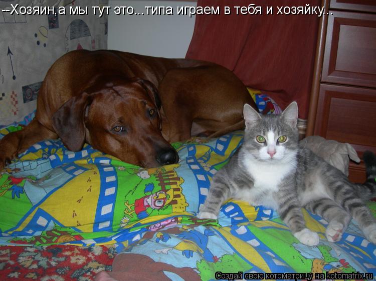 Котоматрица: --Хозяин,а мы тут это...типа играем в тебя и хозяйку...