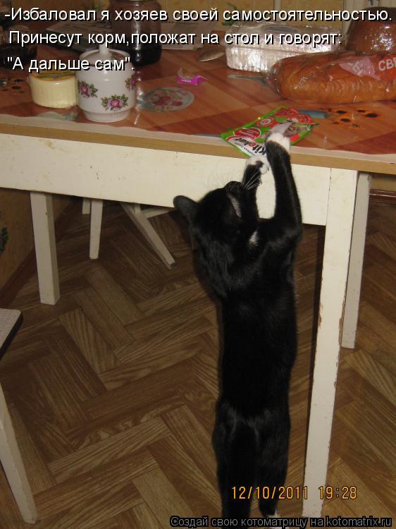 Котоматрица: -Избаловал я хозяев своей самостоятельностью. Принесут корм,положат на стол и говорят: "А дальше сам".