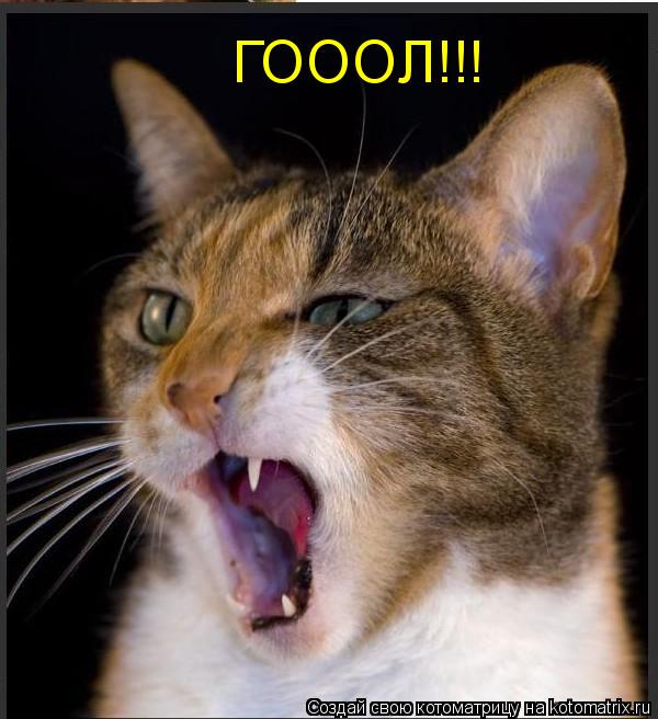 Котоматрица: ГОООЛ!!!