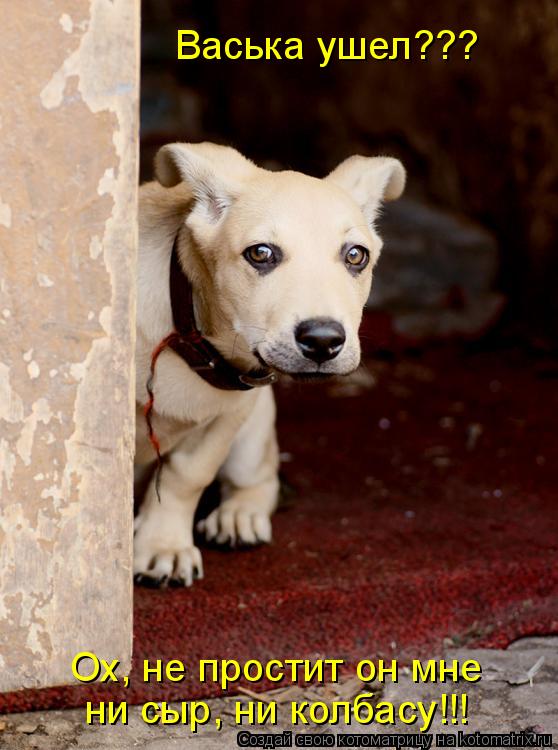 Котоматрица: Васька ушел??? Ох, не простит он мне ни сыр, ни колбасу!!!