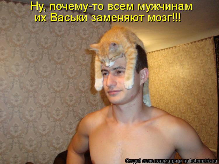 Котоматрица: Ну, почему-то всем мужчинам их Васьки заменяют мозг!!!