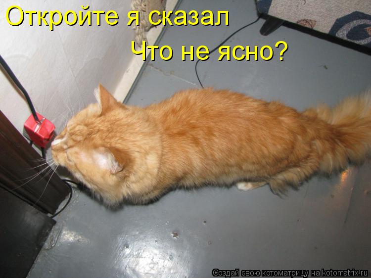 Котоматрица: Откройте я сказал Что не ясно?