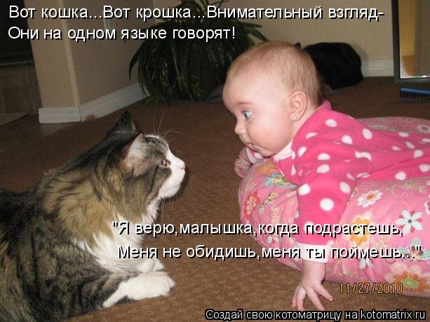 Котоматрица: Вот кошка...Вот крошка...Внимательный взгляд- Они на одном языке говорят! Меня не обидишь,меня ты поймешь..." "Я верю,малышка,когда подрастешь,