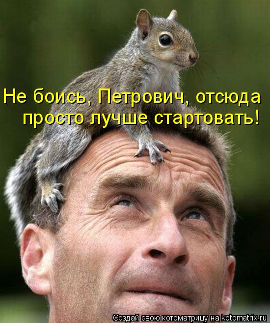 Котоматрица: просто лучше стартовать! Не боись, Петрович, отсюда