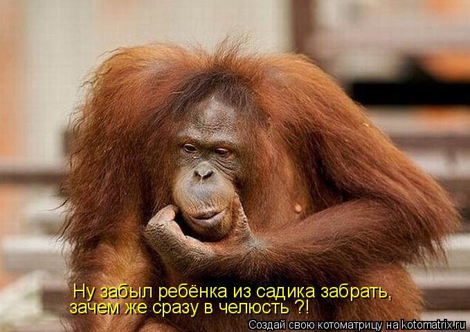 Котоматрица: Ну забыл ребёнка из садика забрать, зачем же сразу в челюсть ?!
