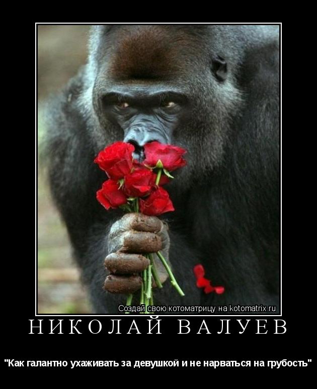 Котоматрица: николай валуев "Как галантно ухаживать за девушкой и не нарваться на грубость"