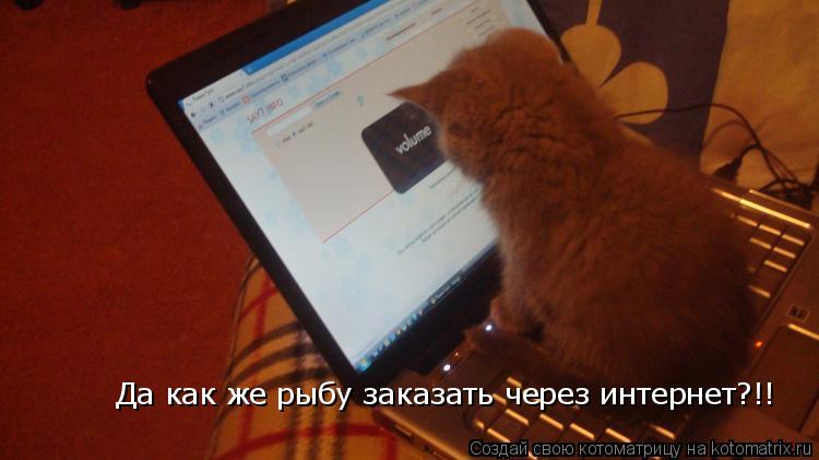 Да как же рыбу заказать через интернет?!!... Котоматрица: Да как же рыбу заказать через интернет?!!