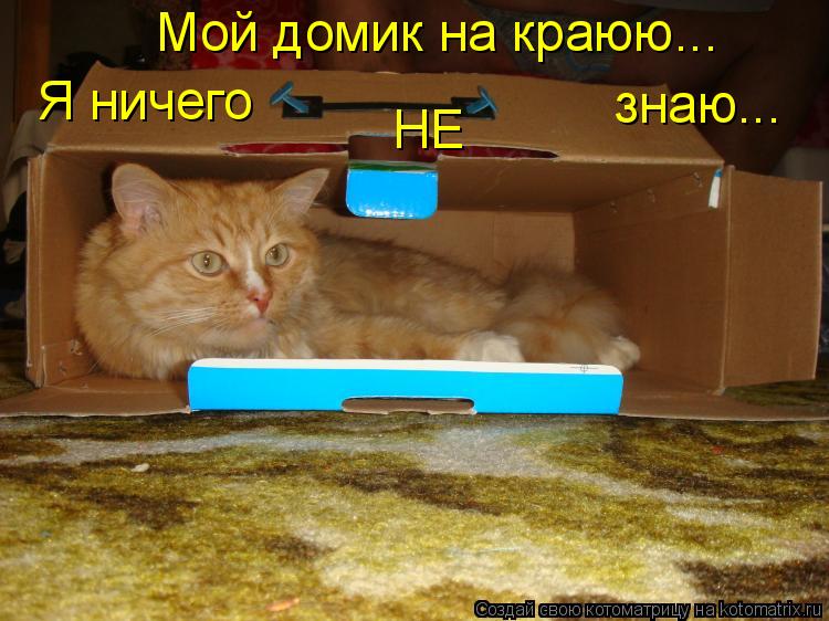 Котоматрица: Мой домик на краюю... Я ничего НЕ знаю...