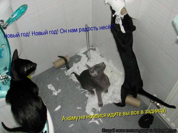 Котоматрица: Новый год! Новый год! Он нам радость несёт! А каму не нравися идите вы все в задницу)