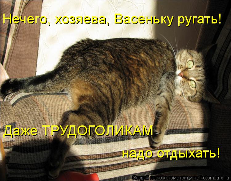 Нечего, хозяева, Васеньку ругать! Даже ТРУДОГОЛИКАМ надо отдыхать!... Котоматрица: Нечего, хозяева, Васеньку ругать! Даже ТРУДОГОЛИКАМ надо отдыхать!