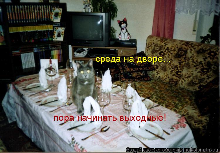 Котоматрица: среда на дворе... пора начинать выходные!