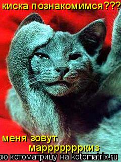 Котоматрица: киска познакомимся??? меня зовут маррррррркиз меня зовут маррррррркиз