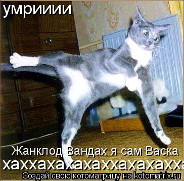 Котоматрица: умрииии Жанклод Вандах я сам Васка хаххахахахаххахахахха