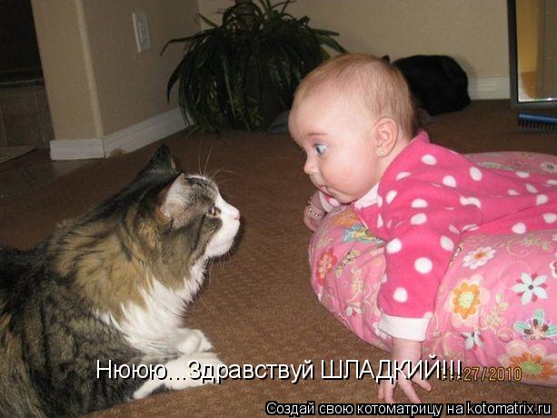 Котоматрица: Нююю...Здравствуй ШЛАДКИЙ!!!