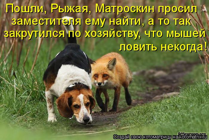 Котоматрица: Пошли, Рыжая, Матроскин просил заместителя ему найти, а то так закрутился по хозяйству, что мышей ловить некогда!
