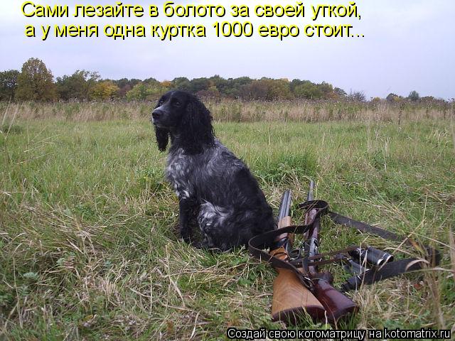 Котоматрица: Сами лезайте в болото за своей уткой, а у меня одна куртка 1000 евро стоит...