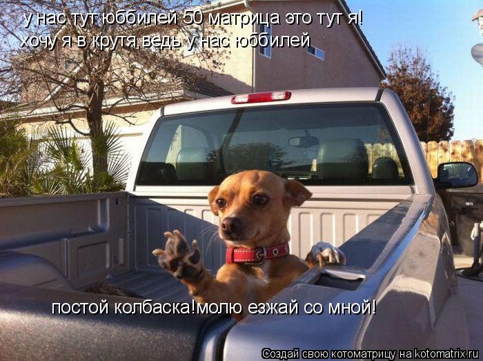 Котоматрица: у нас тут юббилей 50 матрица это тут я! хочу я в крутя,ведь у нас юббилей постой колбаска!молю езжай со мной!