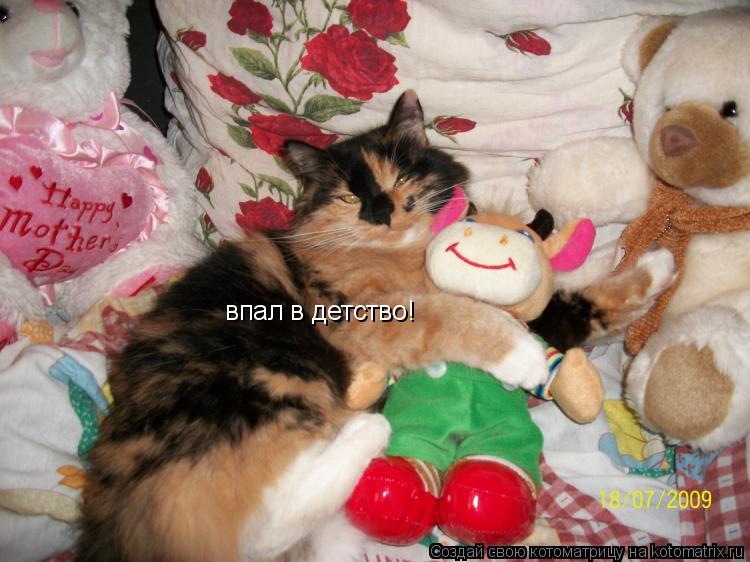 Котоматрица: впал в детство!