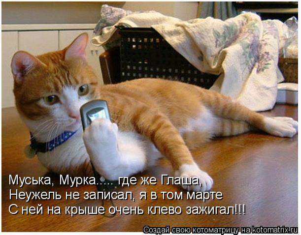 Котоматрица: Муська, Мурка..... где же Глаша, Неужель не записал, я в том марте С ней на крыше очень клево зажигал!!!