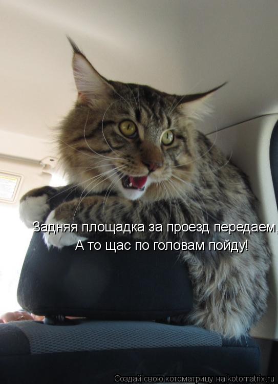 Задняя площадка за проезд передаем, А то щас по головам пойду!... Котоматрица: Задняя площадка за проезд передаем, А то щас по головам пойду!