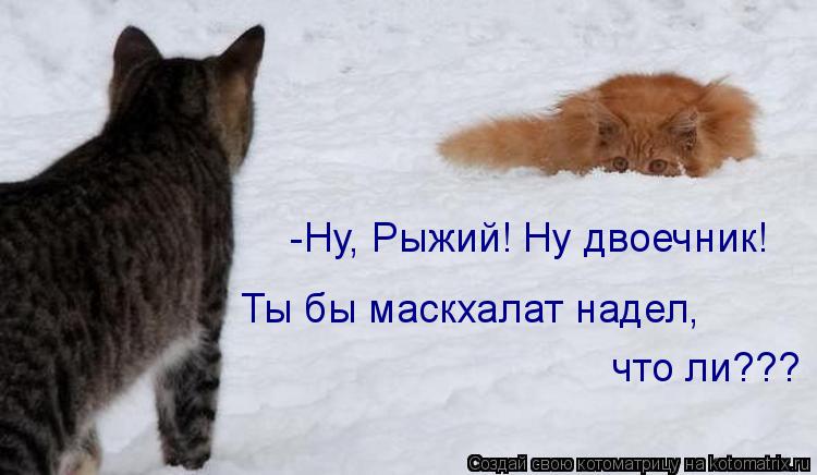 Котоматрица: -Ну, Рыжий! Ну двоечник! Ты бы маскхалат надел, что ли???