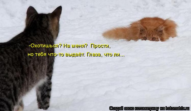 Котоматрица: -Охотишься? На меня?  Прости,  но тебя что-то выдаёт. Глаза, что ли...