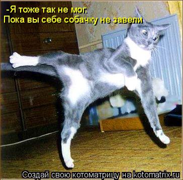 -Я тоже так не мог. Пока вы себе собачку не завели... Котоматрица: -Я тоже так не мог. Пока вы себе собачку не завели