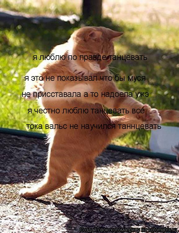 я люблю по правде танцевать я это не показывал что бы муся не присставала а то надоела ужэ я честно л... Котоматрица: я люблю по правде танцевать я это не показывал что бы муся не присставала а то надоела ужэ я честно люблю танцевать все тока вальс не научил