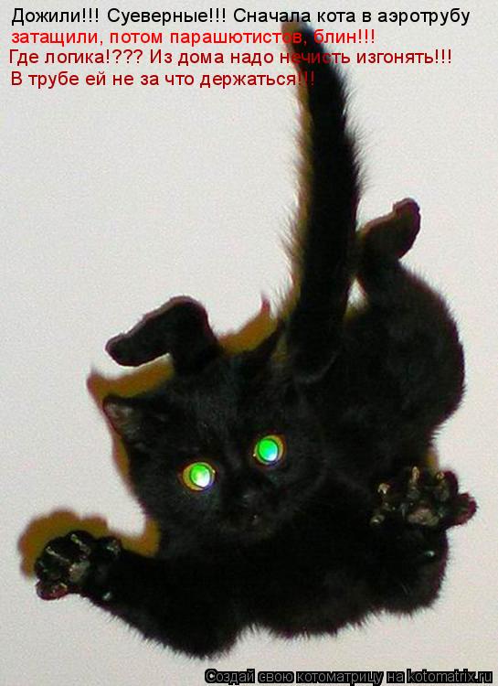Дожили!!! Суеверные!!! Сначала кота в аэротрубу затащили, потом парашютистов, блин!!! Где логика!??... Котоматрица: Дожили!!! Суеверные!!! Сначала кота в аэротрубу затащили, потом парашютистов, блин!!! Где логика!??? Из дома надо нечисть изгонять!!! В трубе ей