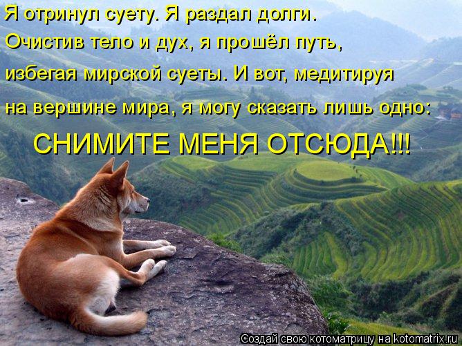 Я отринул суету. Я раздал долги. Очистив тело и дух, я прошёл путь, избегая мирской суеты. И вот, м... Котоматрица: Я отринул суету. Я раздал долги. Очистив тело и дух, я прошёл путь, избегая мирской суеты. И вот, медитируя на вершине мира, я могу сказать ли
