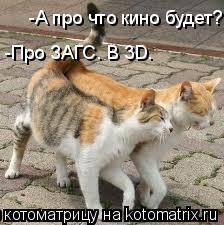 -А про что кино будет? -Про ЗАГС. В 3D.... Котоматрица: -А про что кино будет? -Про ЗАГС. В 3D.