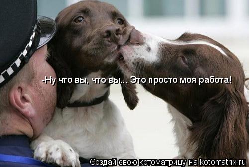 -Ну что вы, что вы... Это просто моя работа!... Котоматрица: -Ну что вы, что вы... Это просто моя работа!
