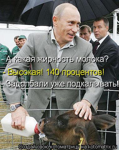 - А какая жирность молока? - Высокая! 140 процентов! - Задолбали уже подкалывать!... Котоматрица: - А какая жирность молока? - Высокая! 140 процентов! - Задолбали уже подкалывать!
