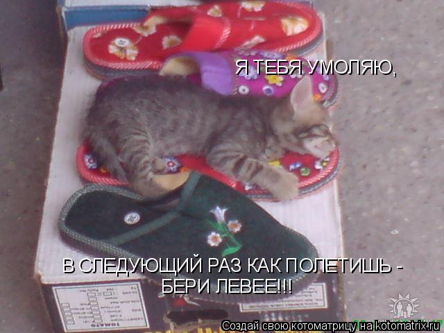 Я ТЕБЯ УМОЛЯЮ, В СЛЕДУЮЩИЙ РАЗ КАК ПОЛЕТИШЬ - БЕРИ ЛЕВЕЕ!!!... Котоматрица: Я ТЕБЯ УМОЛЯЮ, В СЛЕДУЮЩИЙ РАЗ КАК ПОЛЕТИШЬ - БЕРИ ЛЕВЕЕ!!!