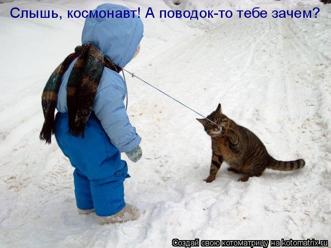 Слышь, космонавт! А поводок-то тебе зачем?... Котоматрица: Слышь, космонавт! А поводок-то тебе зачем?