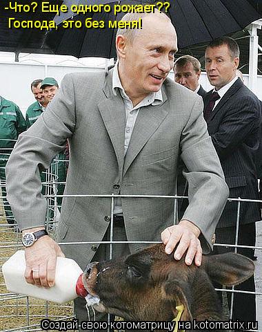 -Что? Еще одного рожает?? Господа, это без меня!... Котоматрица: -Что? Еще одного рожает?? Господа, это без меня!