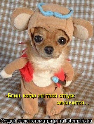 -Блин, когда же твой отпуск закончится...... Котоматрица: -Блин, когда же твой отпуск закончится...